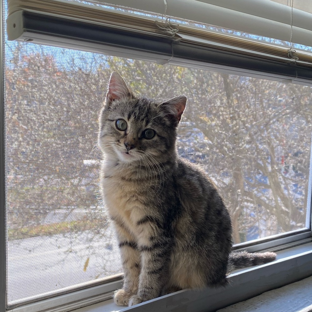 Meet your Posher, Graycee